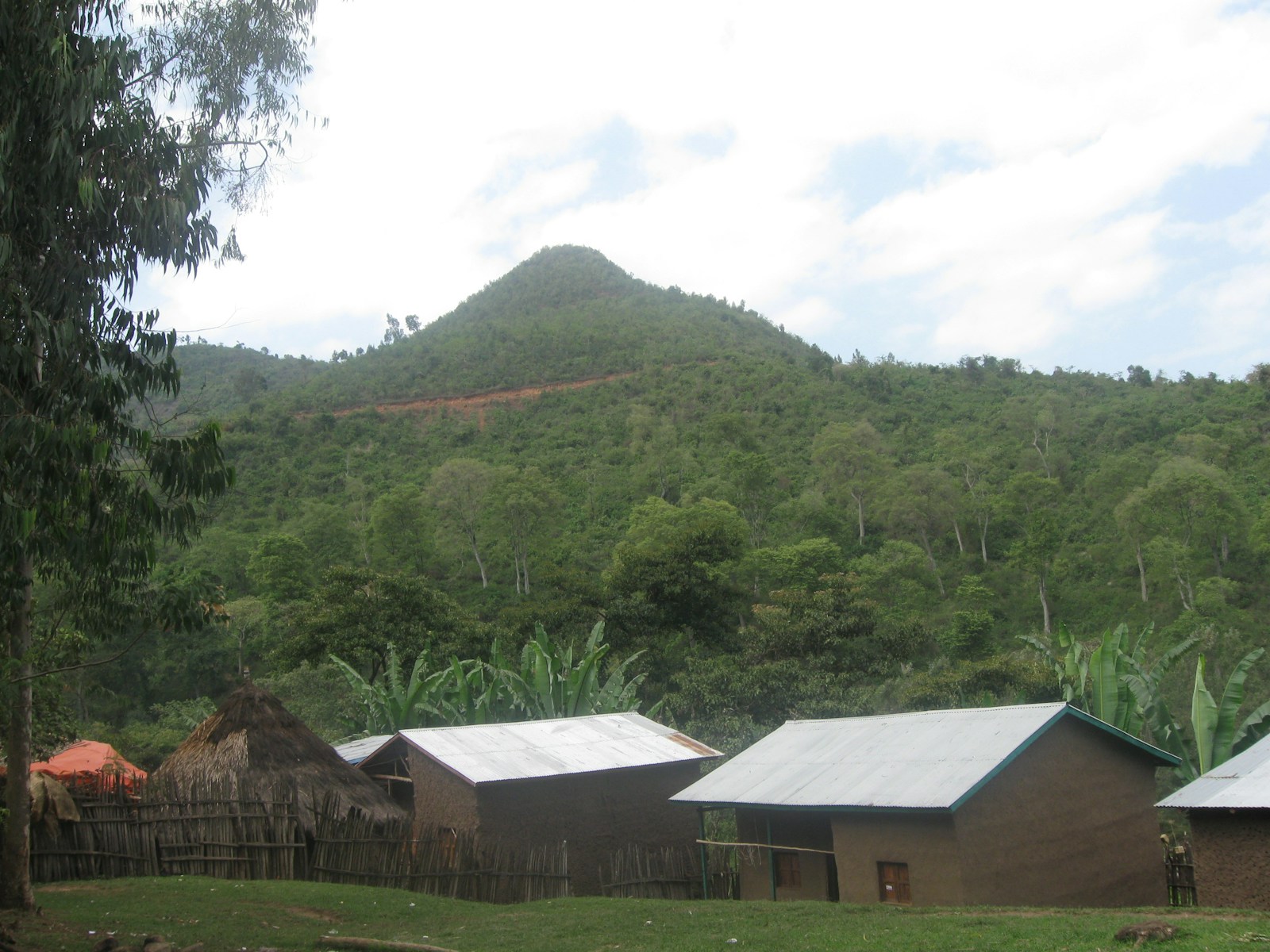 A village of thatched and tin-roofed houses below a forested hill in rural Ethiopia